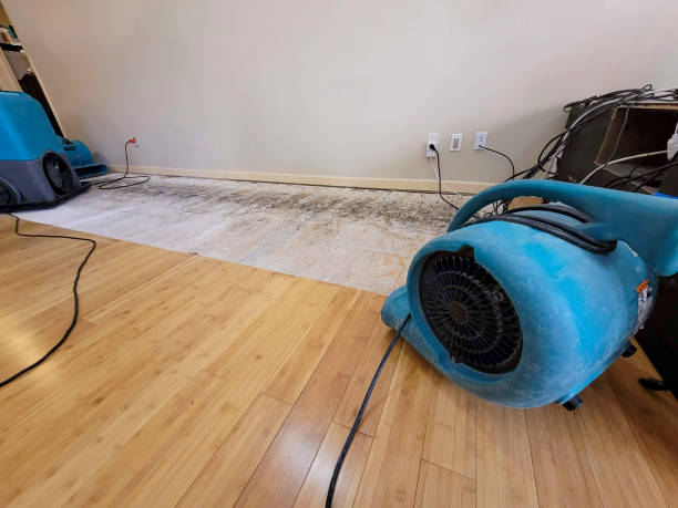 Professional Sewage Cleanup technician working in Edgewood, TX